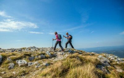 Een relatie is één groot proces